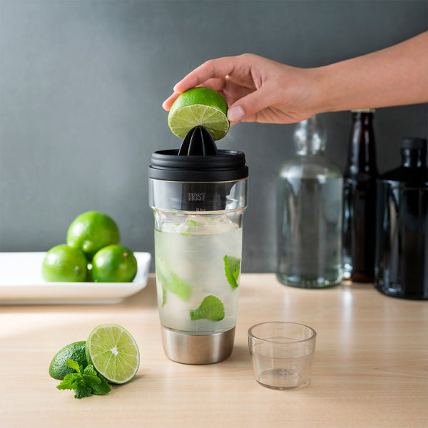 Cocktail Shaker by HOST Brookstone