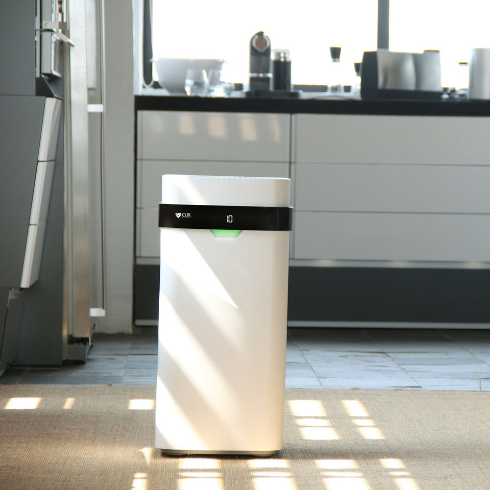 Air Purifiers Brookstone