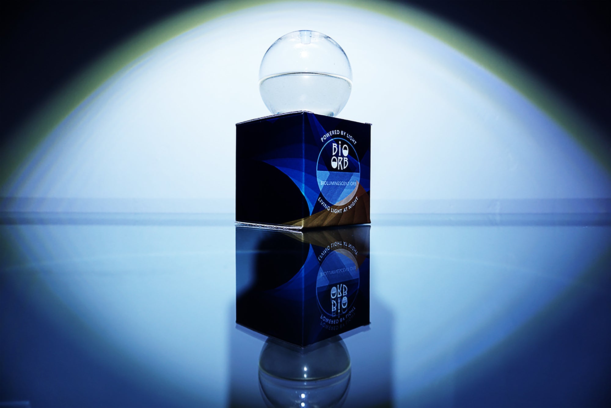 Bioluminescent Bio-Orb | Brookstone