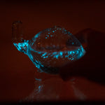 Bioluminescent Bio Turtle