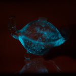 Bioluminescent Bio Turtle