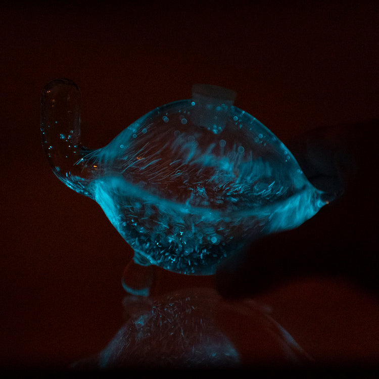 Bioluminescent Bio Turtle