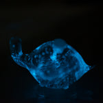 Bioluminescent Bio Turtle