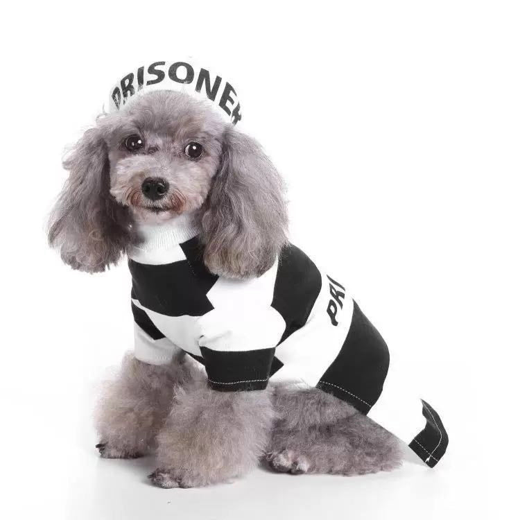 Prison dog costume best sale