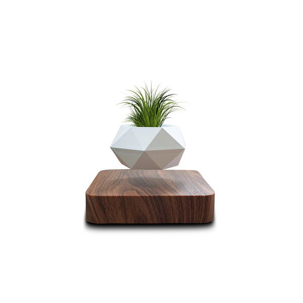 Levitatepro Levitating Planter Brookstone