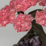 Medium - Genuine Rose Quartz Clustered Gemstone Tree on Amethyst Matrix (The Love Tree)