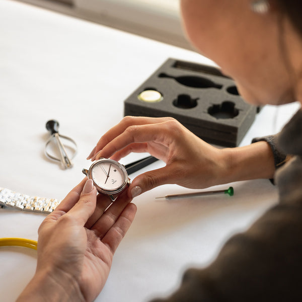 The Newton Watchmaking Kit Brookstone