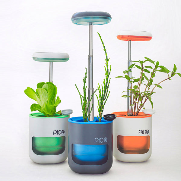 PICO Smart Indoor Garden Brookstone