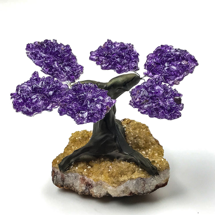 Small Amethyst Clustered Gemstone Tree on Citrine Matrix