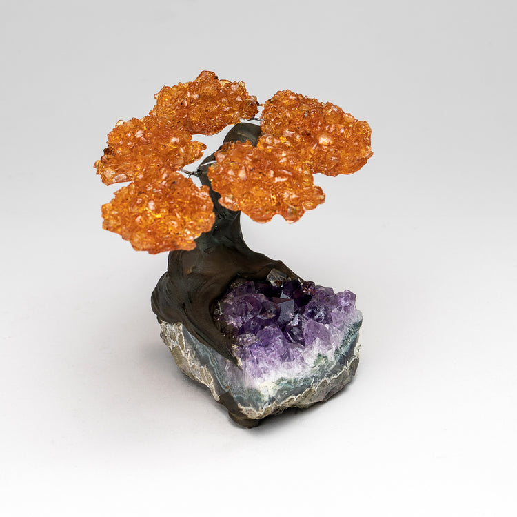 Citrine Cluster Gemstone Tree on Amethyst Matrix shops (The Money Tree)