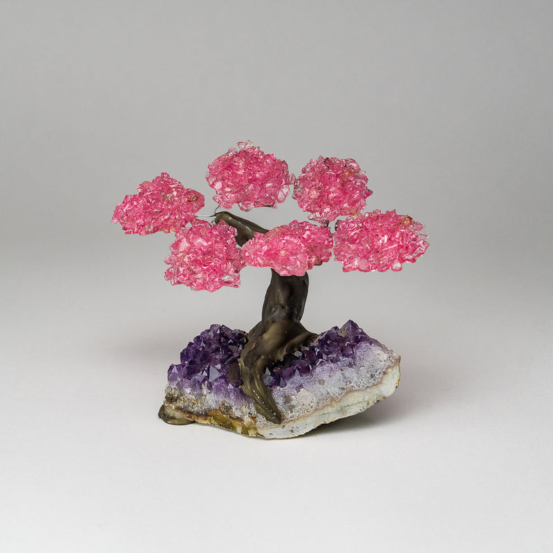 Small Genuine Rose Quartz Clustered Gemstone Tree on Amethyst