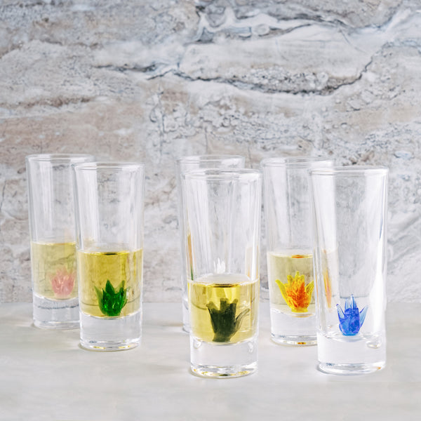 Tequila Glasses Set