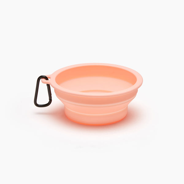 Macaron Collapsible Travel Pet Bowl Brookstone