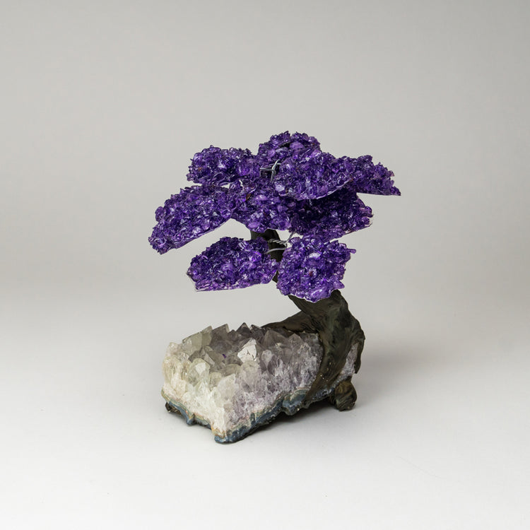 Large - Genuine Amethyst Clustered Gemstone Tree on Clear Quartz Matrix (The Relaxation Tree)