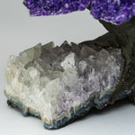 Large - Genuine Amethyst Clustered Gemstone Tree on Clear Quartz Matrix (The Relaxation Tree)