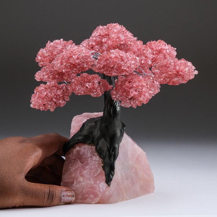 Large - Genuine Rose Quartz Clustered Gemstone Tree on Rose Quartz Matrix (The Eternal Love Tree)