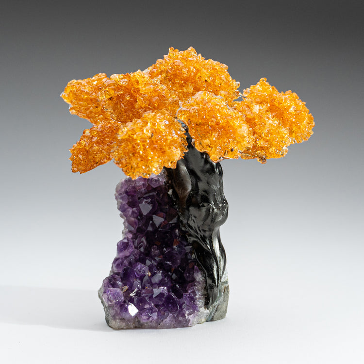 Medium - Citrine Clustered Gemstone Tree on Amethyst Matrix (The Money Tree)