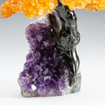 Medium - Citrine Clustered Gemstone Tree on Amethyst Matrix (The Money Tree)